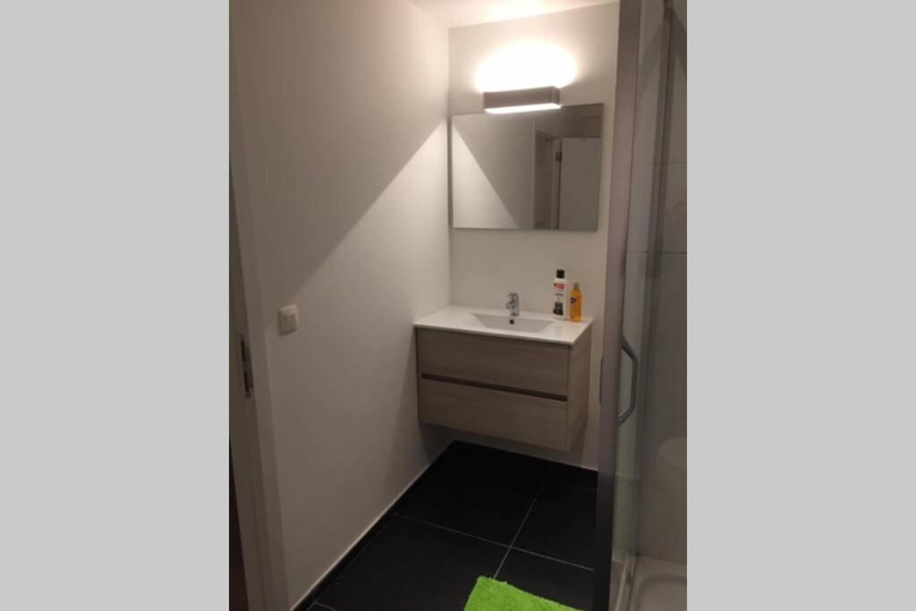 Appartement Duplex Pour 3-4 Personnes A Сіне Екстер'єр фото